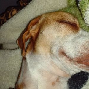 Meet your Posher, Eliud